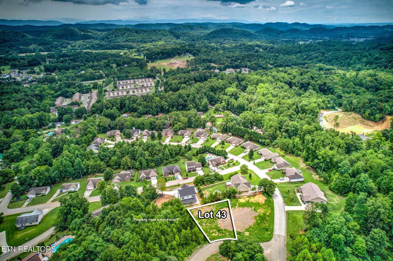 806 Odessa Lane - Photo 1