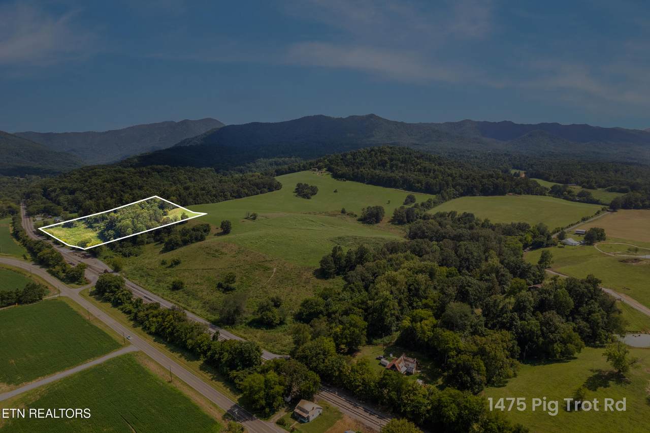  Lot 5 Pig Trot Rd - Photo 1