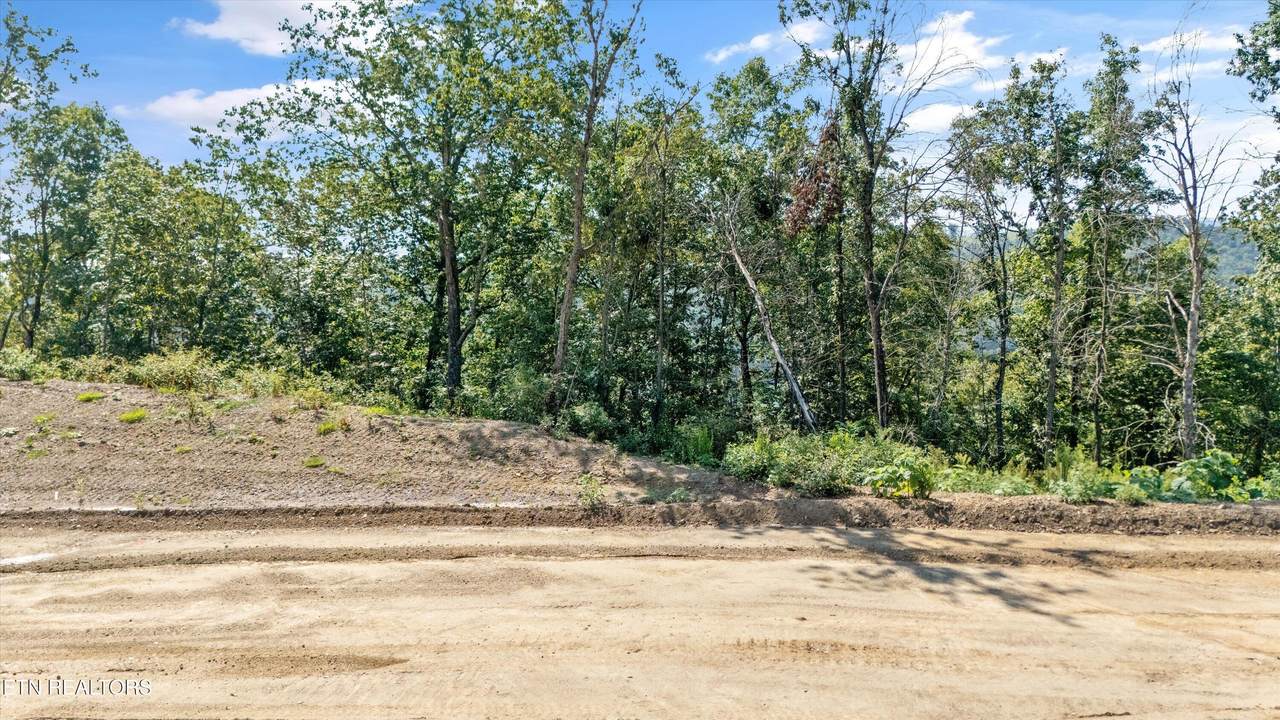 Lot 101 Sommet Ridge East - Photo 1