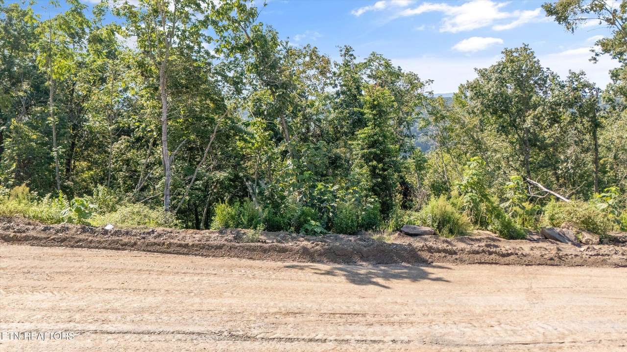 Lot 105 Sommet Ridge East - Photo 1
