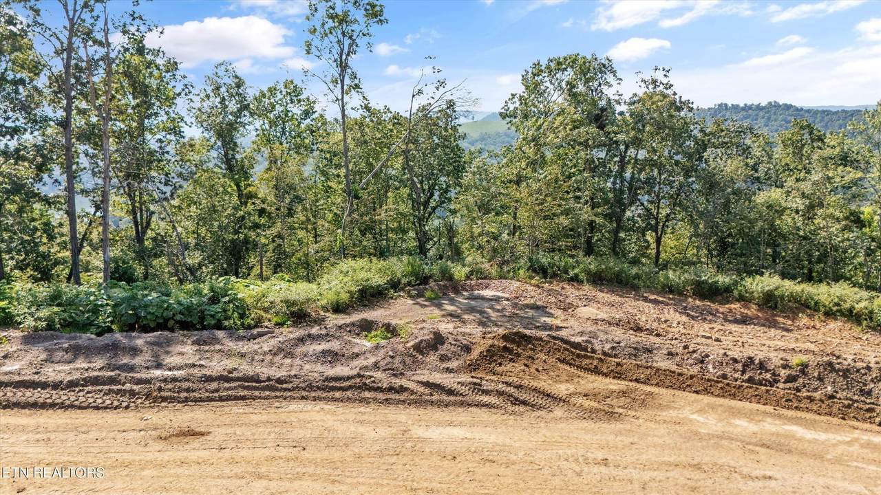 Lot 107 Sommet Ridge East - Photo 1