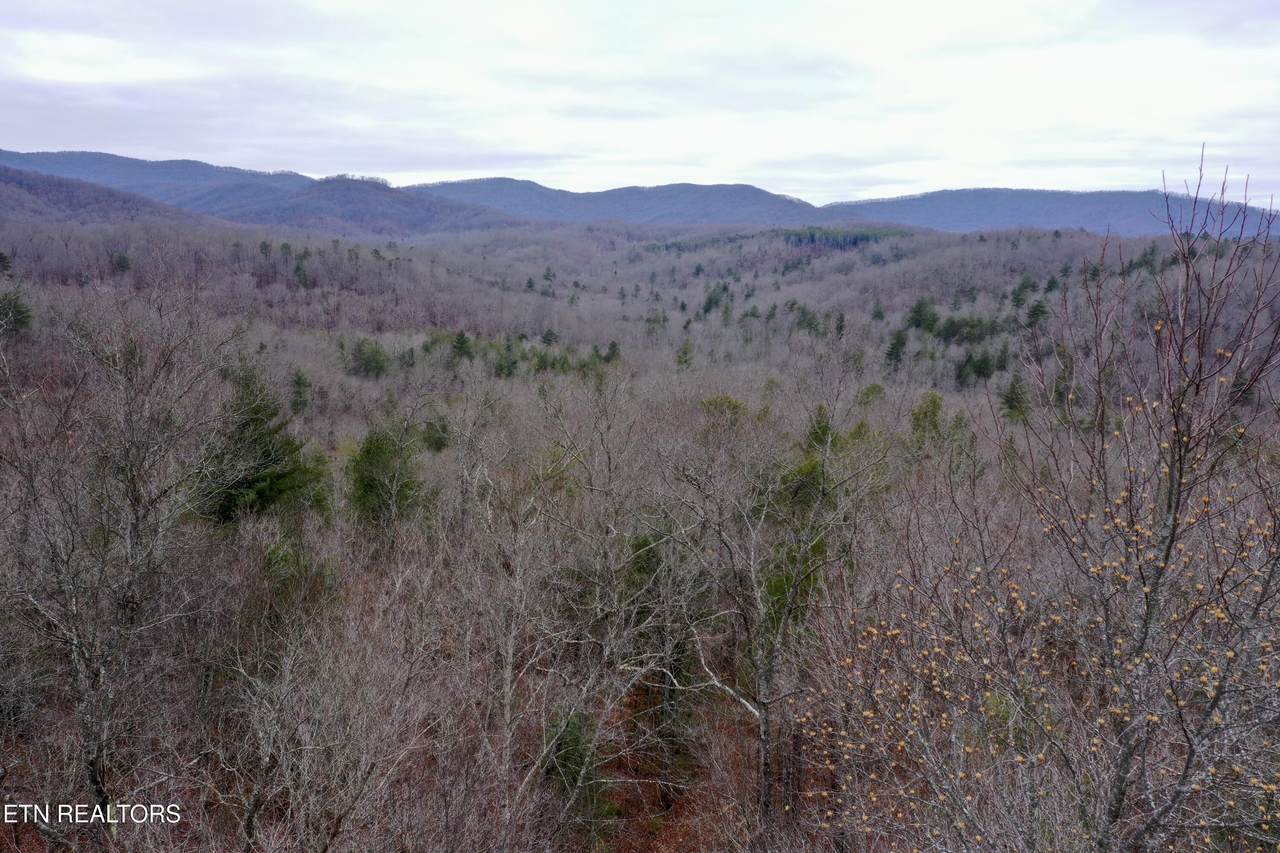  Wolf Creek Rd - Photo 1