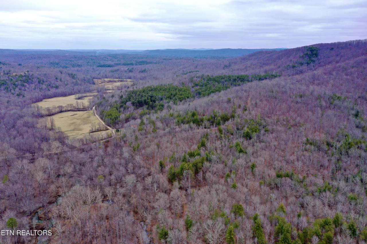  Wolf Creek Rd - Photo 1