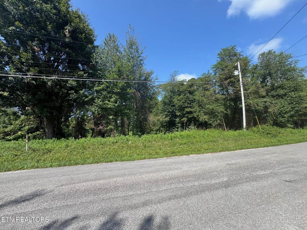  Old Wolf River Rd - Photo 1