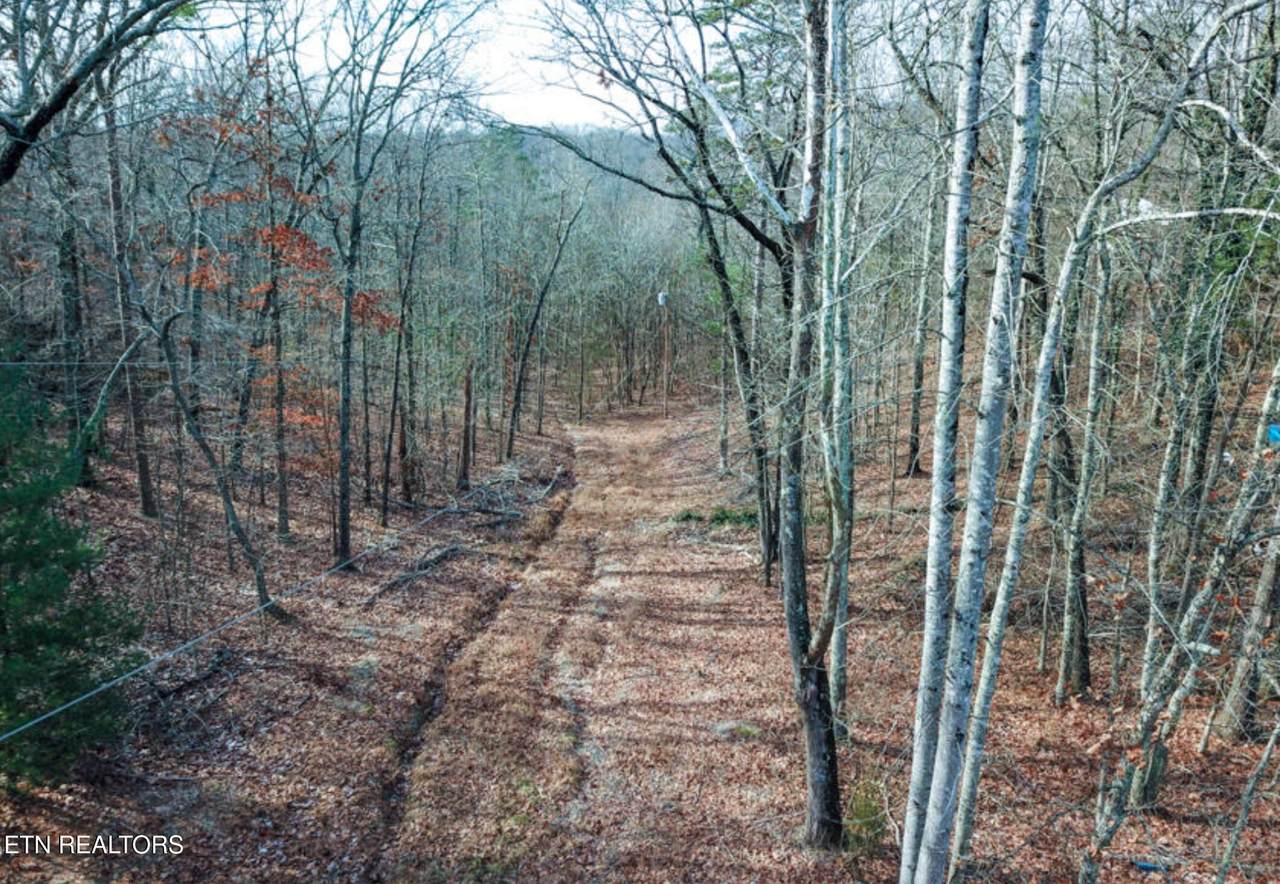  Hall & Tarwater St - Photo 1