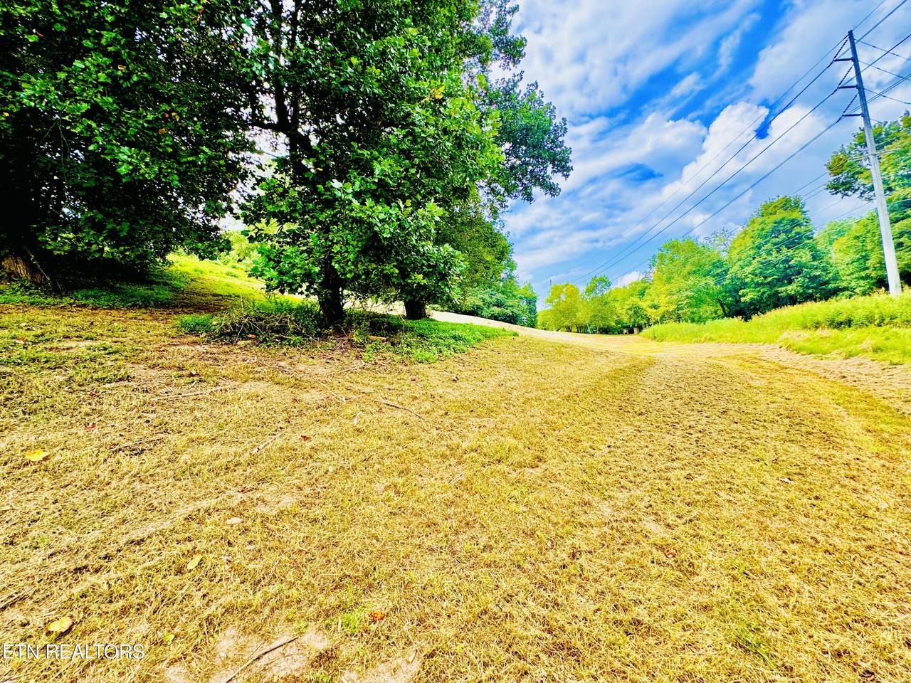 Lot 207 Clyde Ed Rd - Photo 1