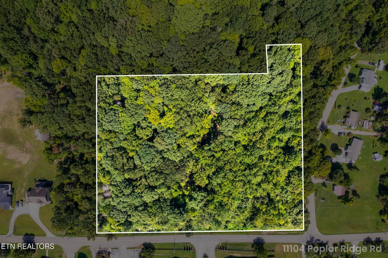 0 Yarnell Rd - Photo 1