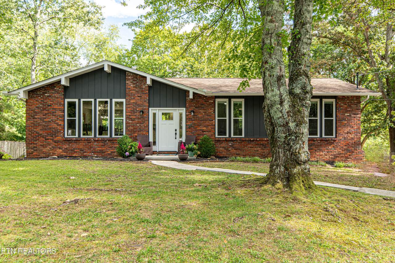 10604 Alameda Drive - Photo 1