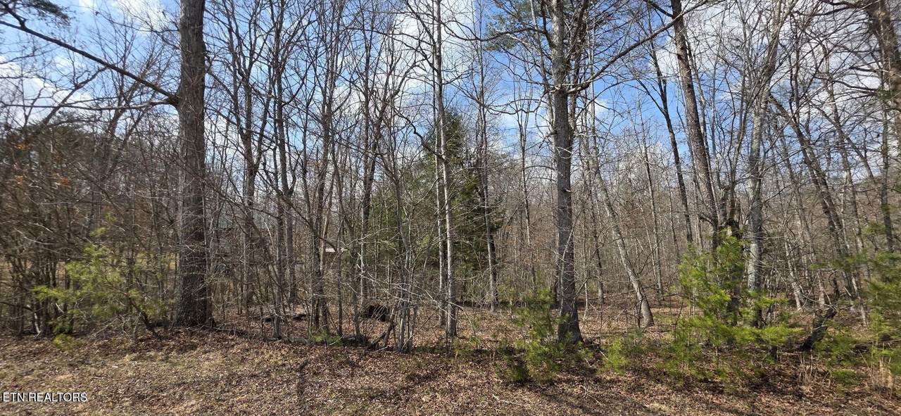 7 Cumberland Lakes Drive - Photo 1