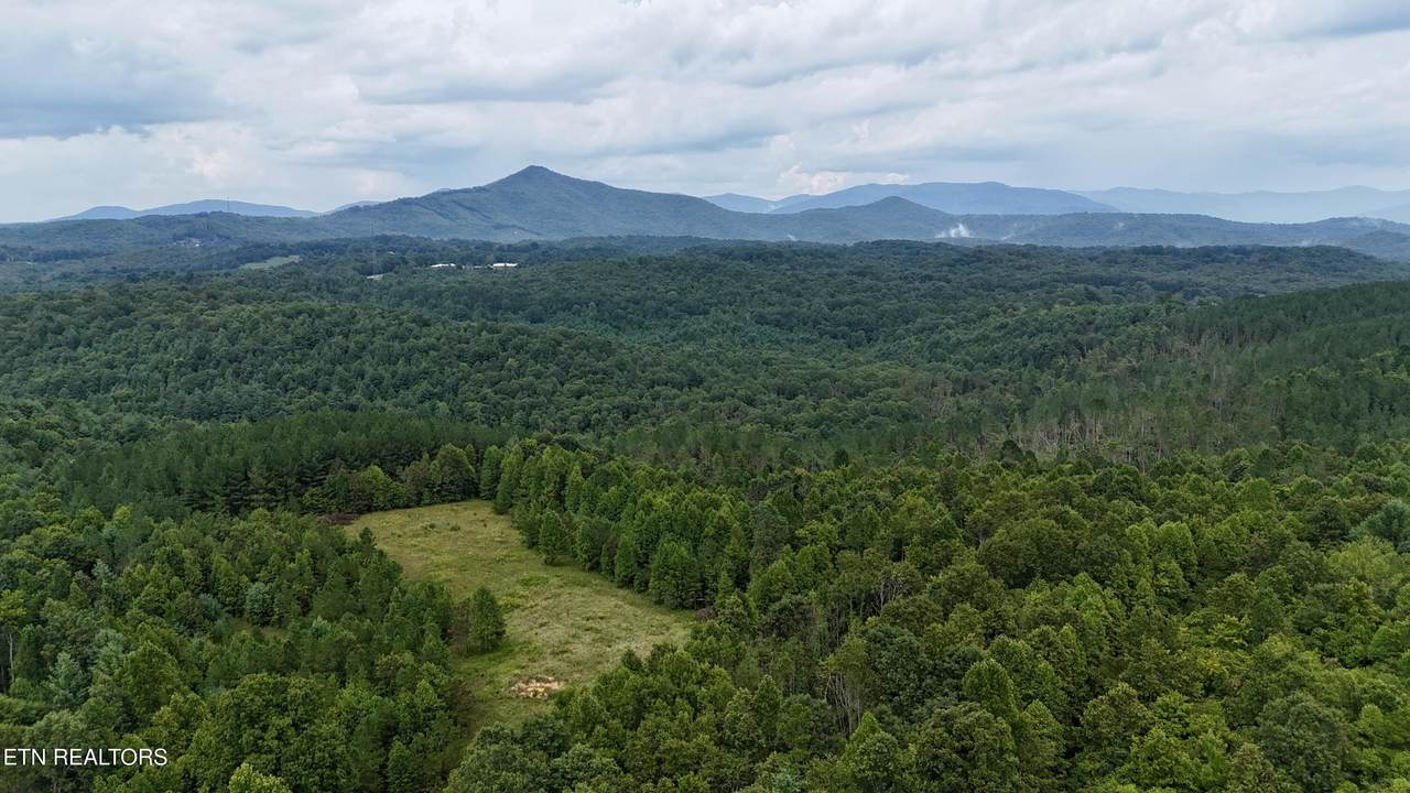  N Of Adams Ridge Rd - Photo 1