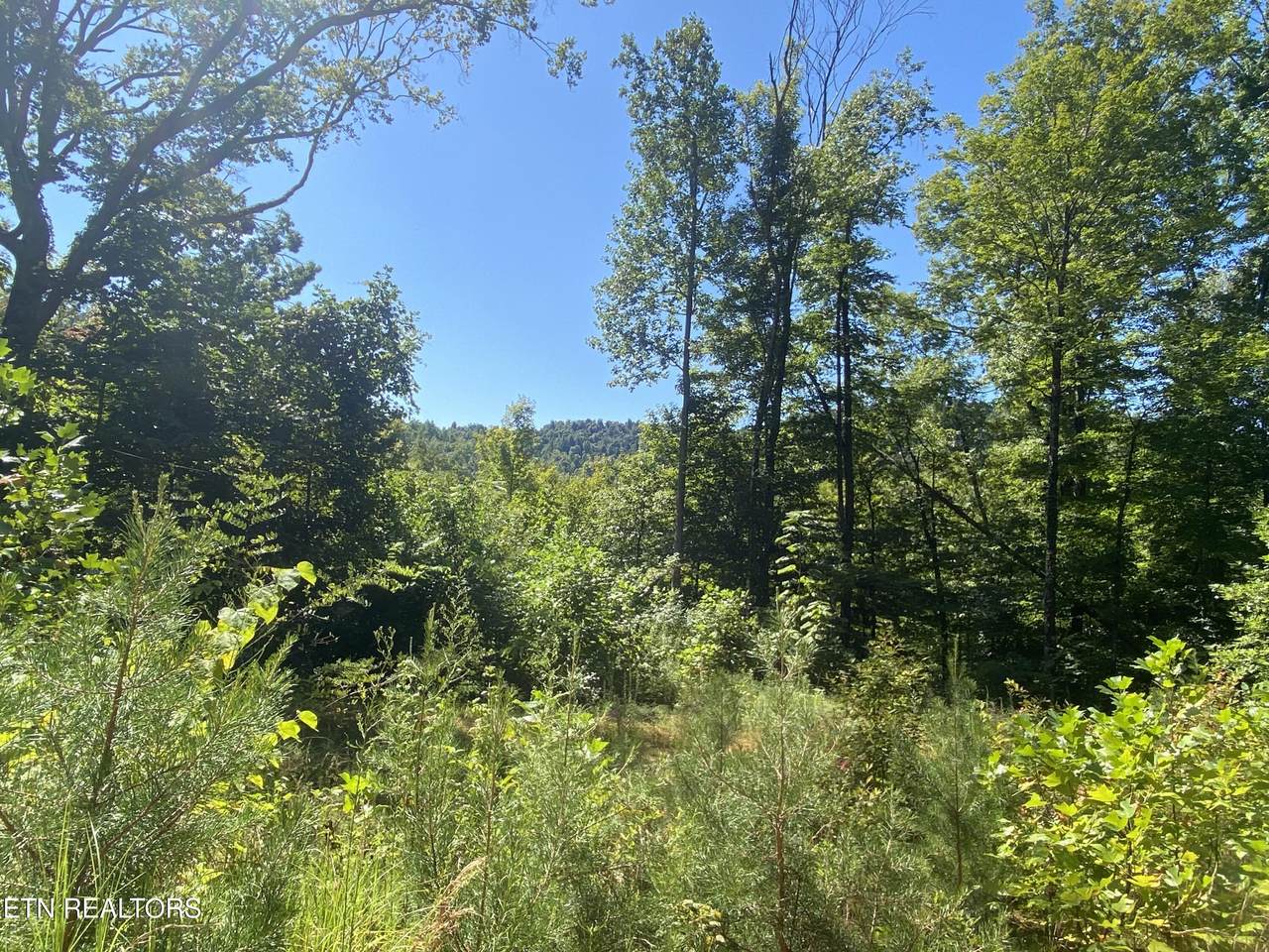  Double Top Rd - Photo 1