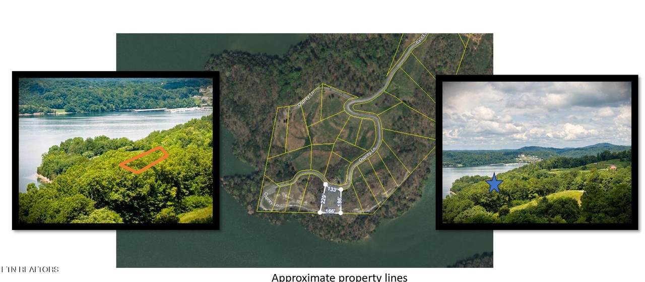 7D Bald Eagle Lane - Photo 1