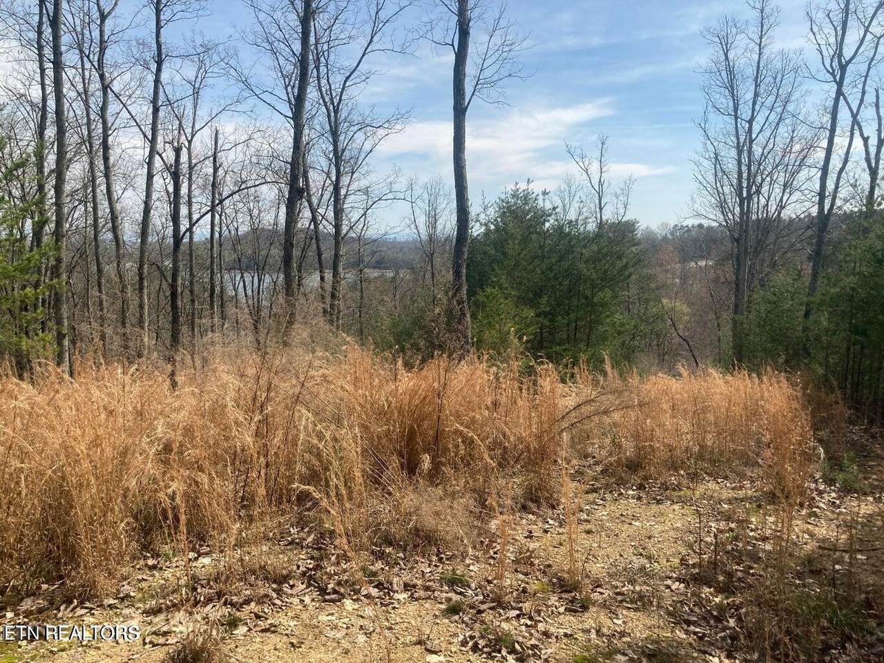 1310 Wilkerson Rd - Photo 1