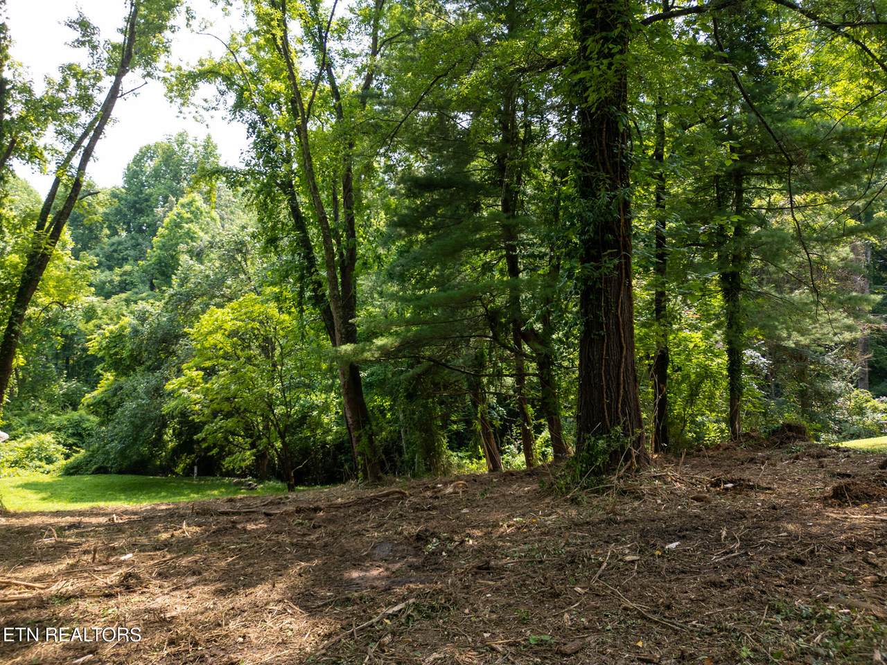 107 Jay Lane - Photo 1