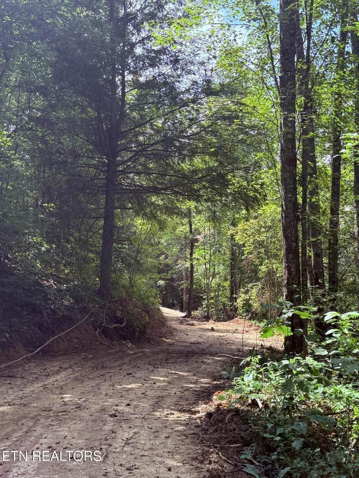 1055 Big Four Rd - Photo 1