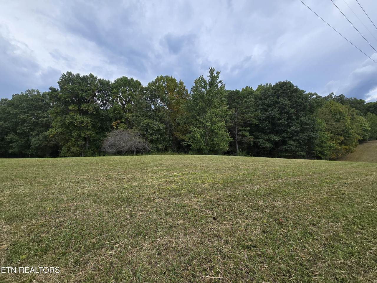 0 Eli Lane - Photo 1