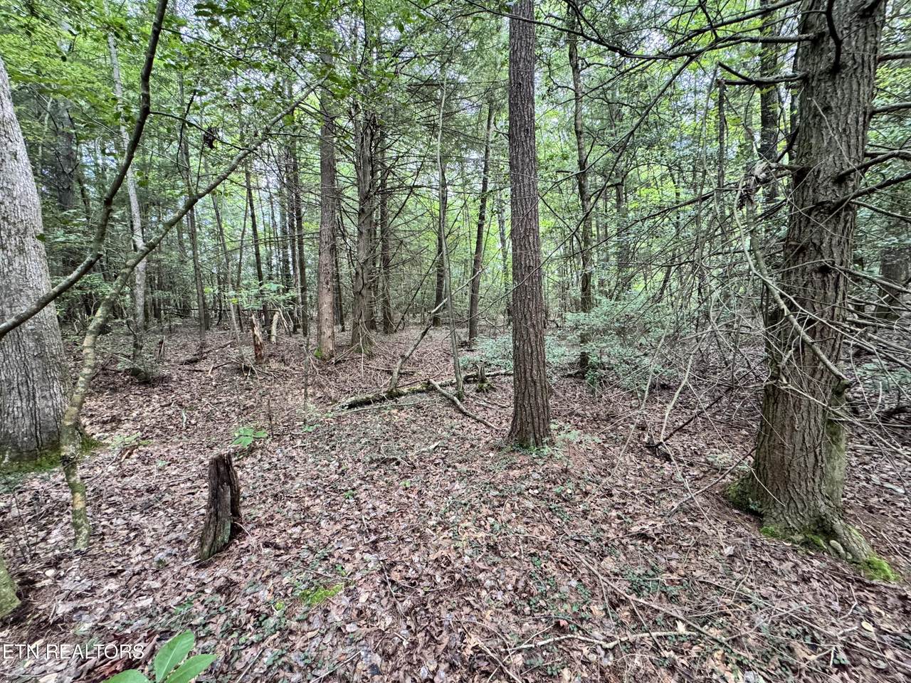  Banner Springs Rd - Photo 1