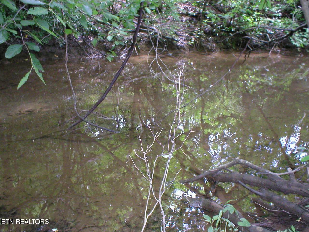 50 E Cove Rd - Photo 1