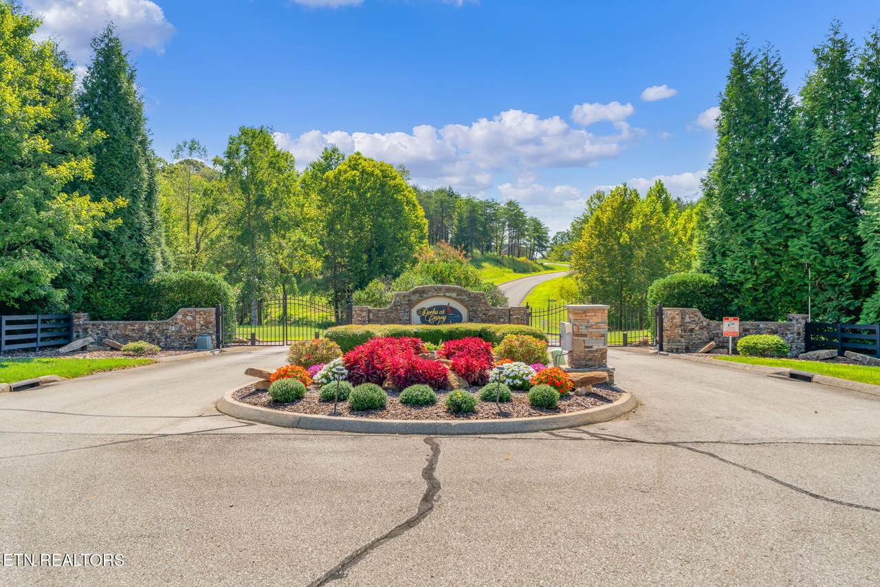 104 Blue Heron - Photo 1