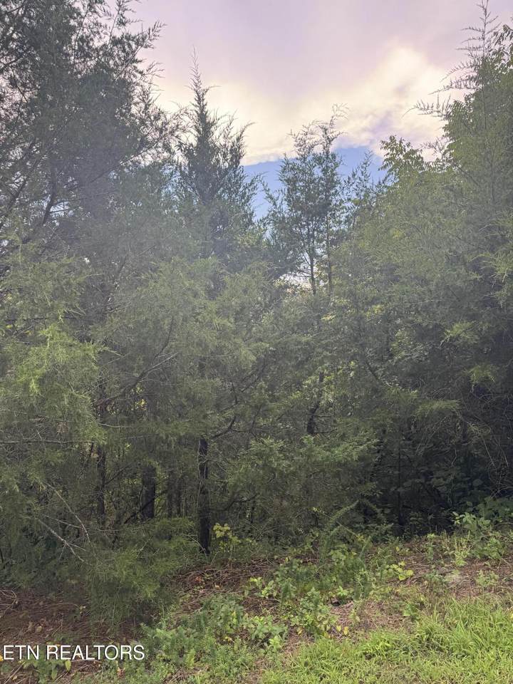  Eagle Feather Drive - Photo 1