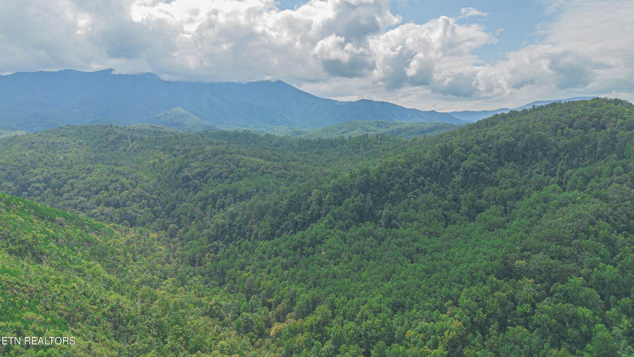  Low Gap Rd - Photo 1