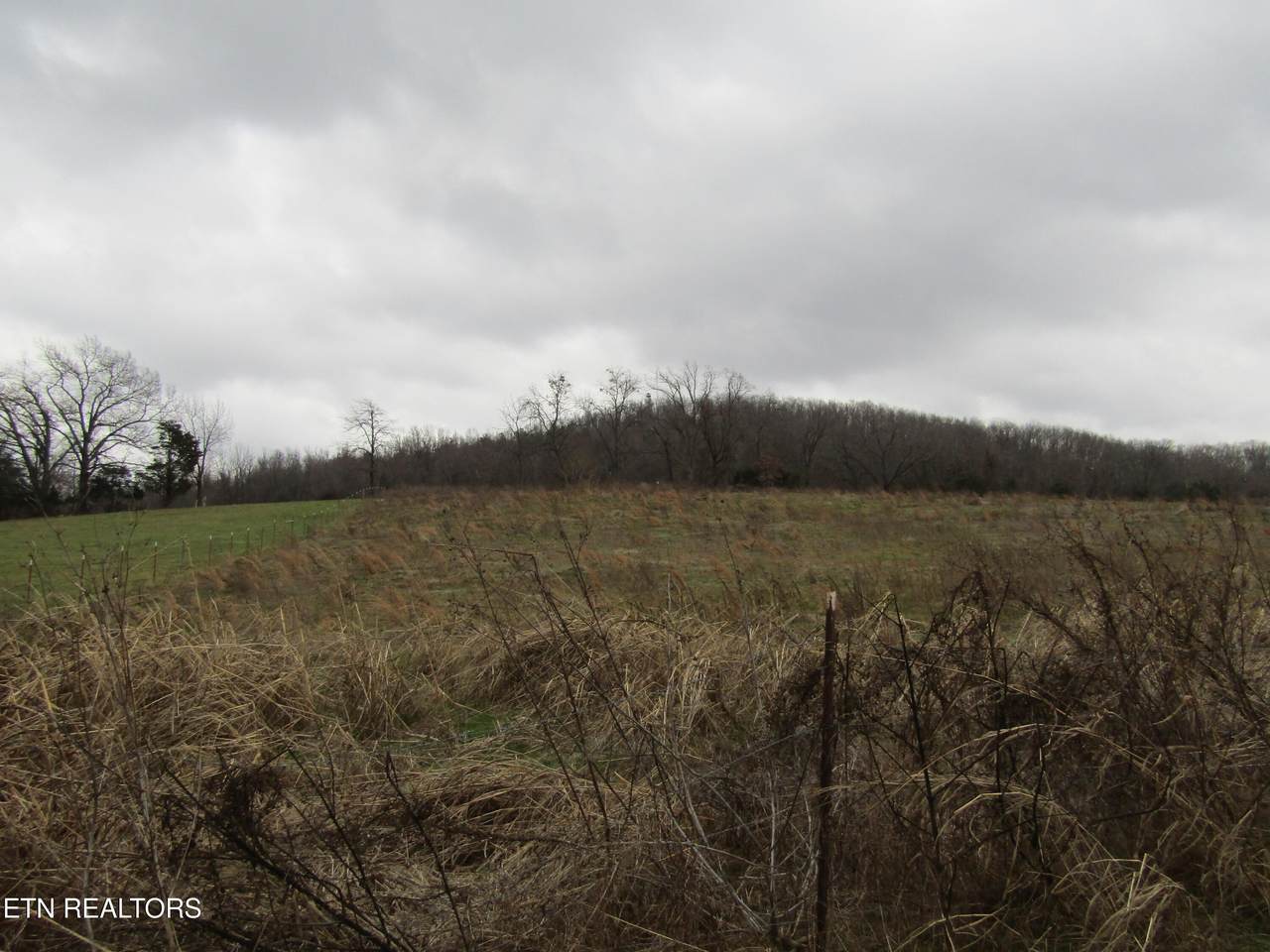 3.94ac Anderson Rd - Photo 1