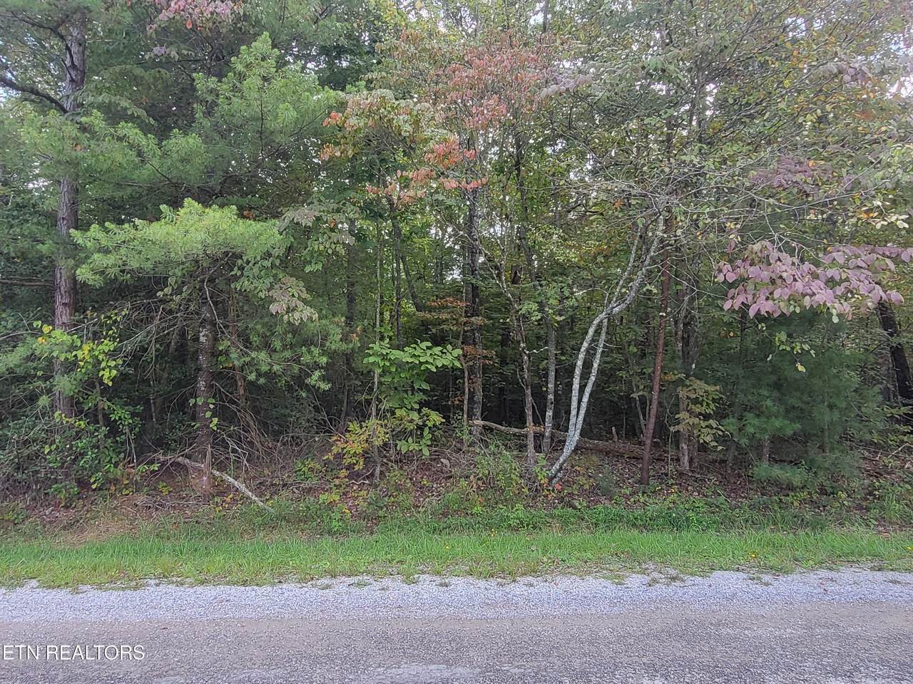 112 Tavistock Lane - Photo 1