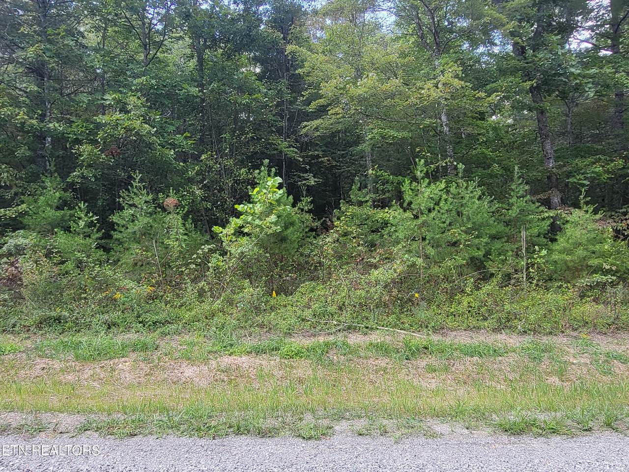 542 Beachwood Drive - Photo 1