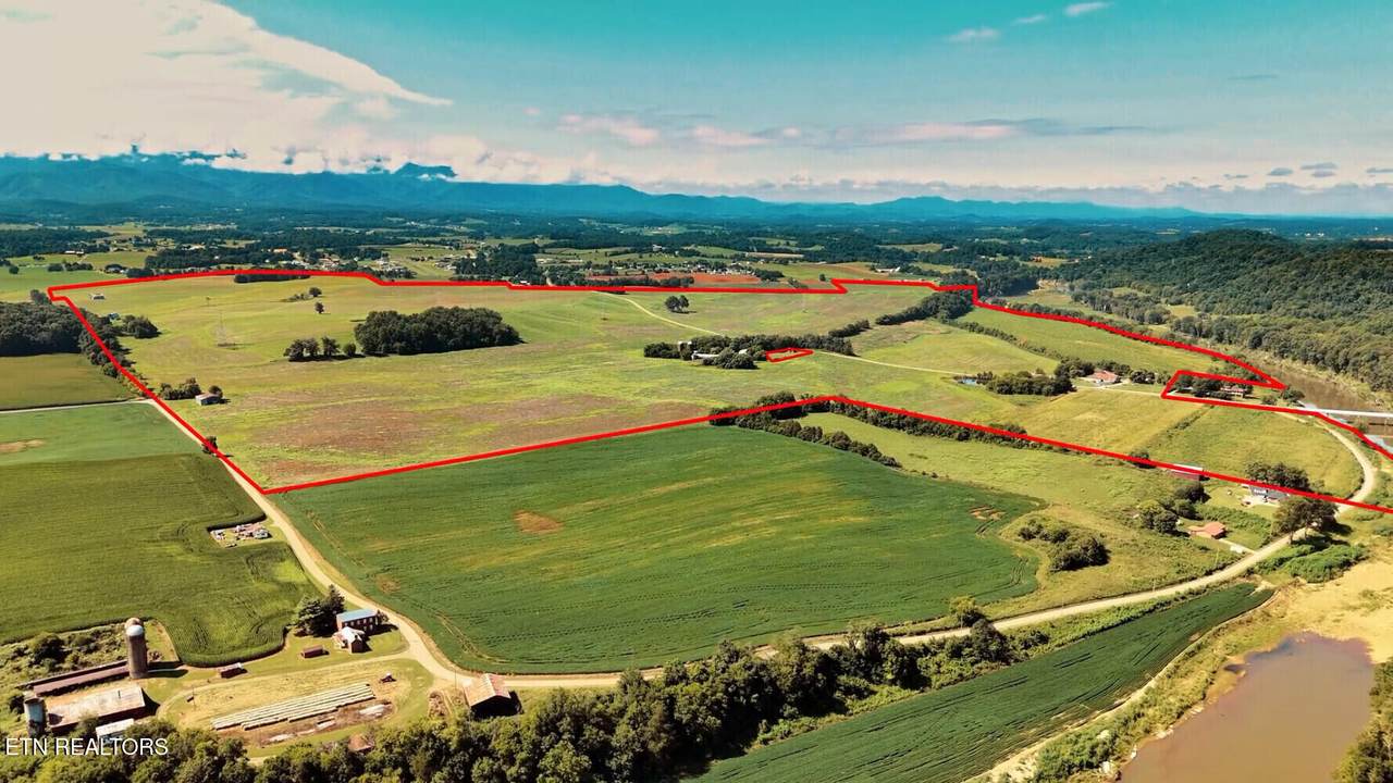 0 Chuckey Pike - Photo 1