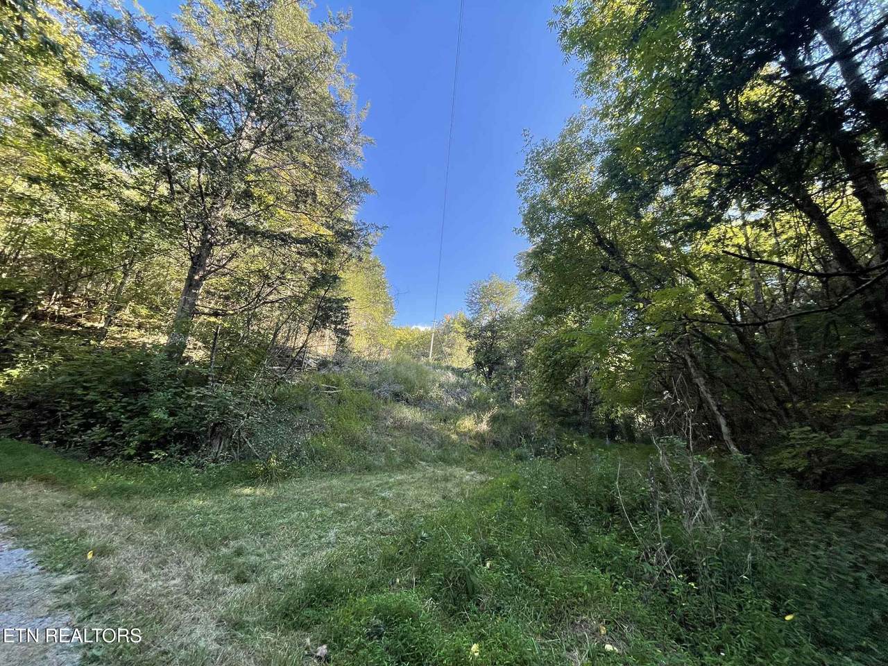  Little Sycamore Rd - Photo 1