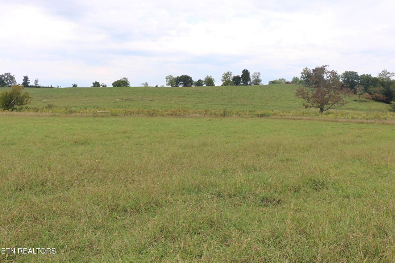 1163 County Road 461 - Photo 1