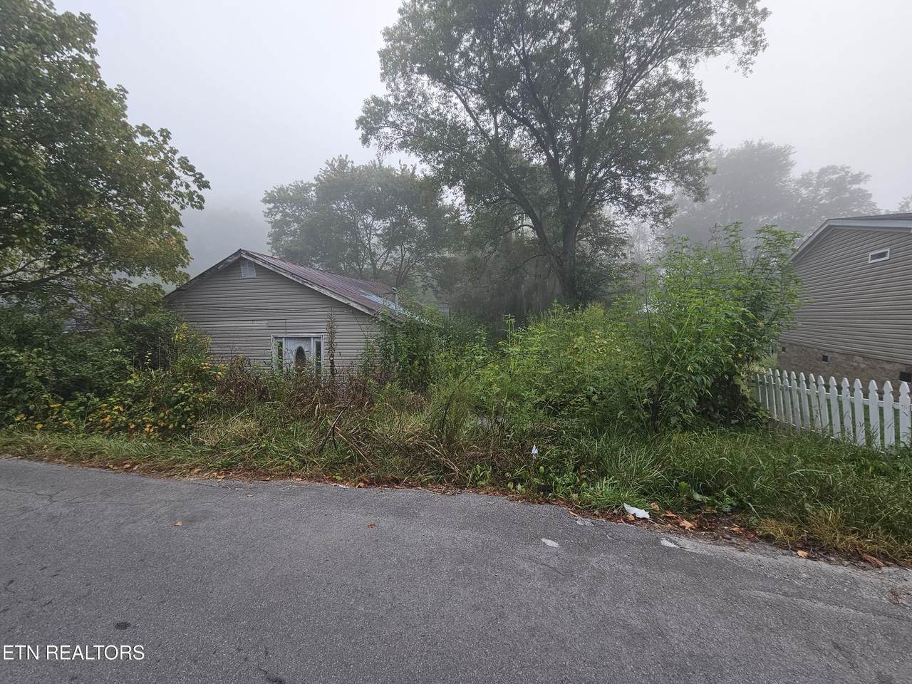 118 Polly Hollow Right Fork Rd - Photo 1