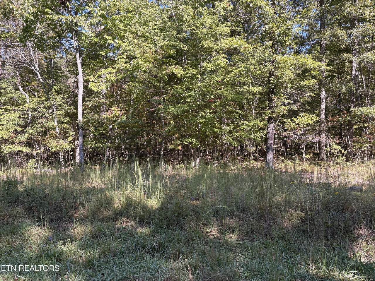 1231 Natchez Trace - Photo 1