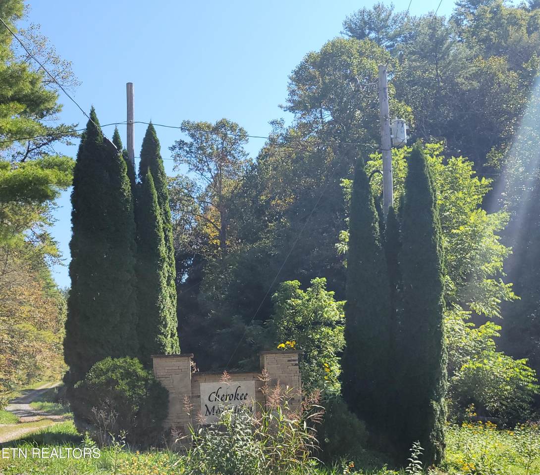 Lot 39 Sugar Maple Way - Photo 1