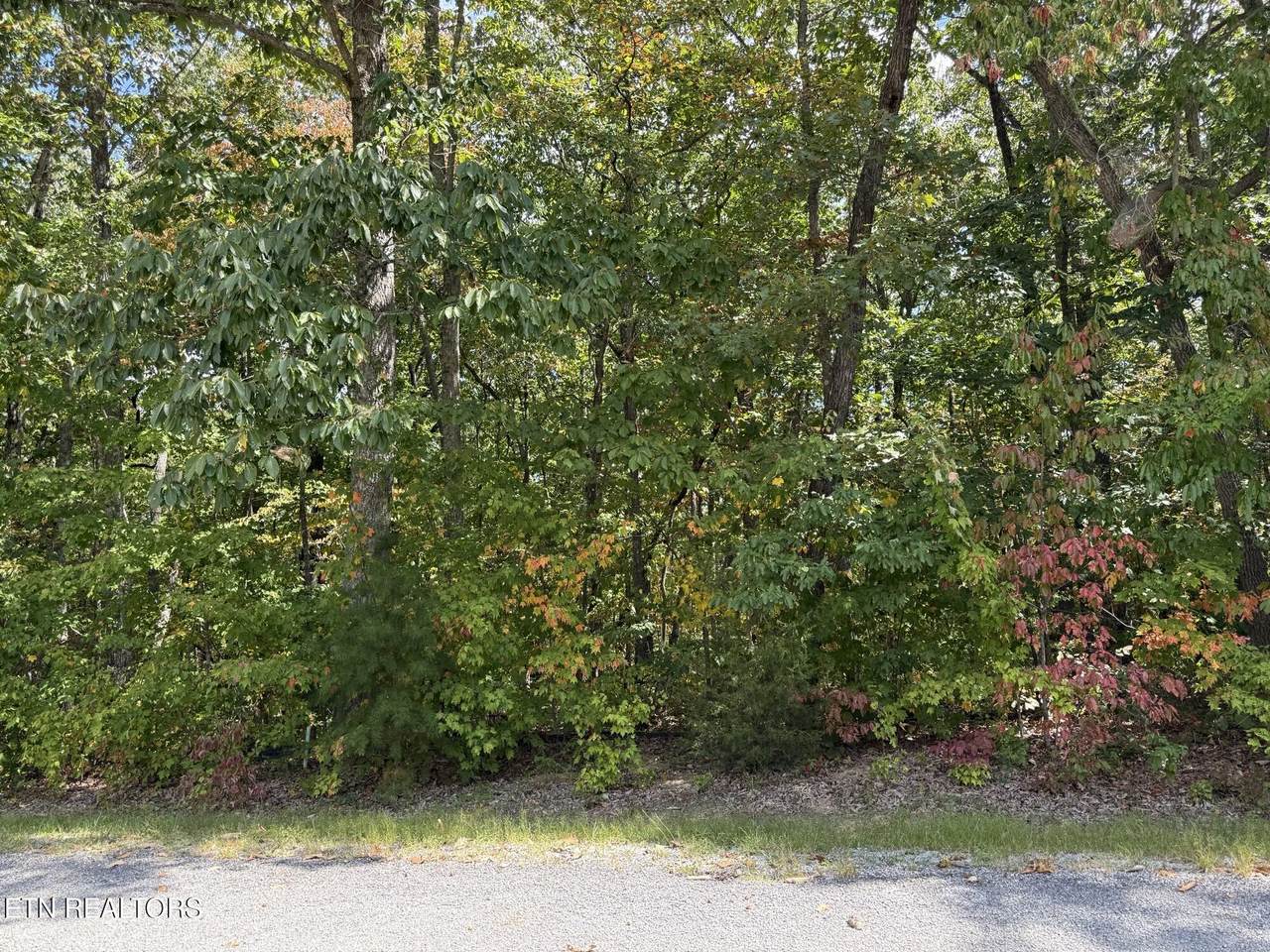 129 Folkstone Rd - Photo 1