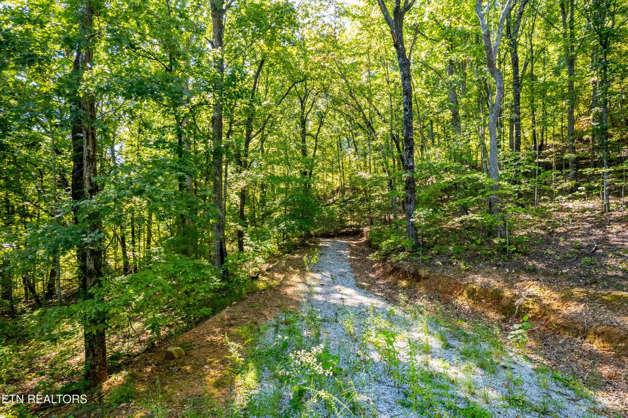 105 Warriors Passage Drive - Photo 1