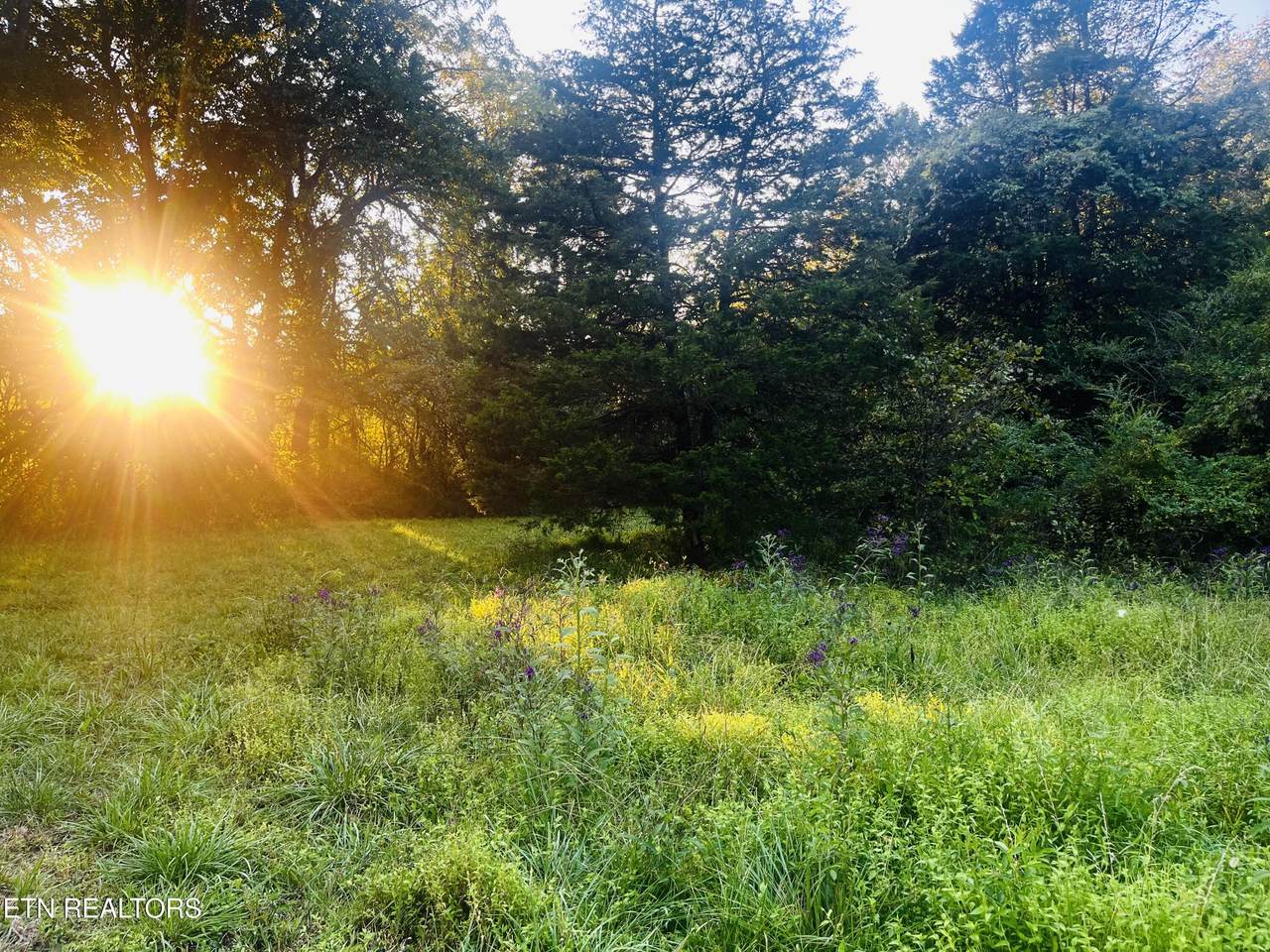  E Bullrun Valley Drive - Photo 1