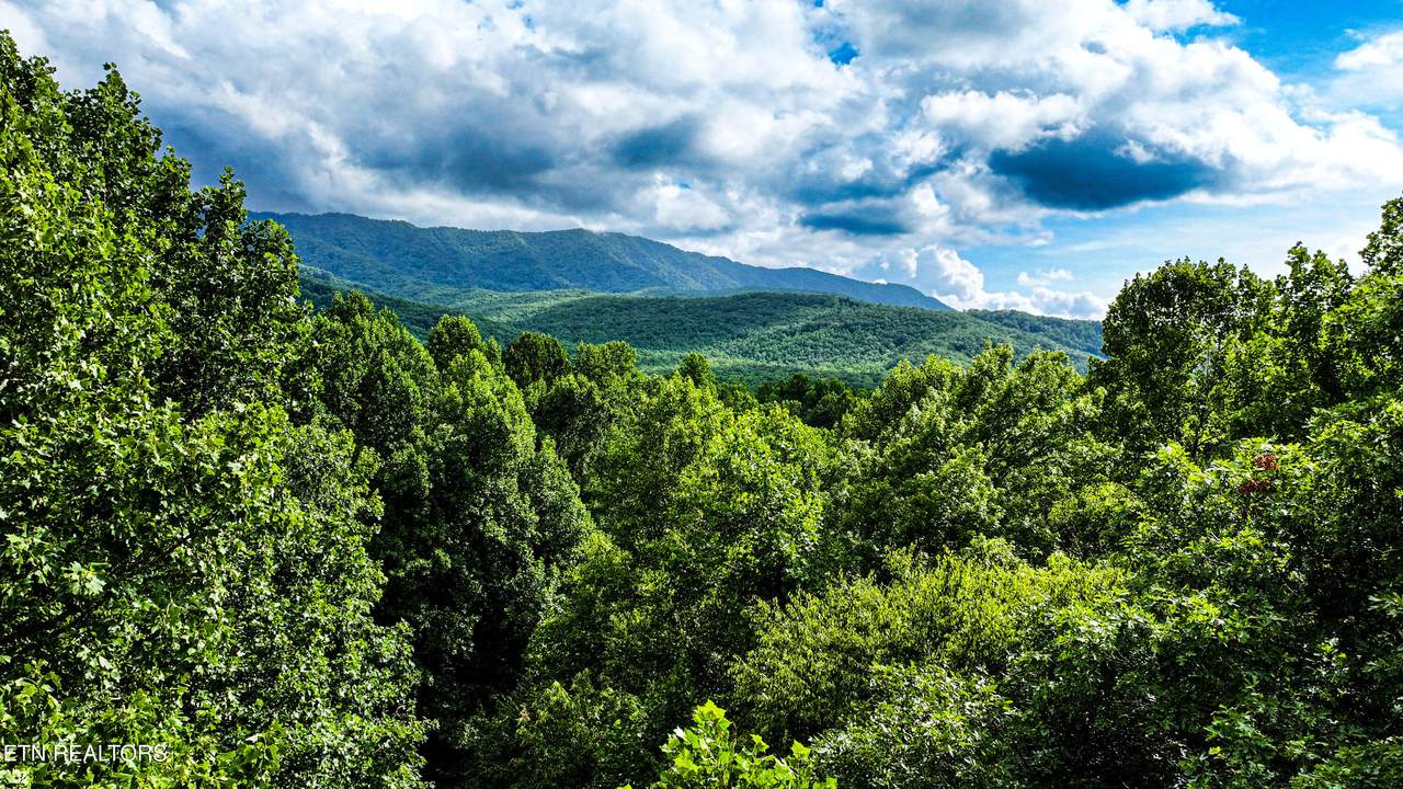  Angie Lane Lane - Photo 1