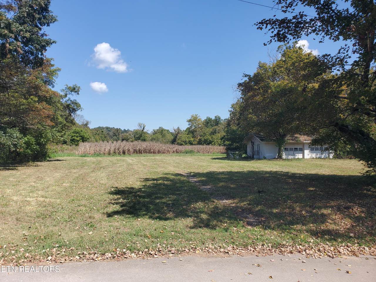 125 Dale Rd - Photo 1