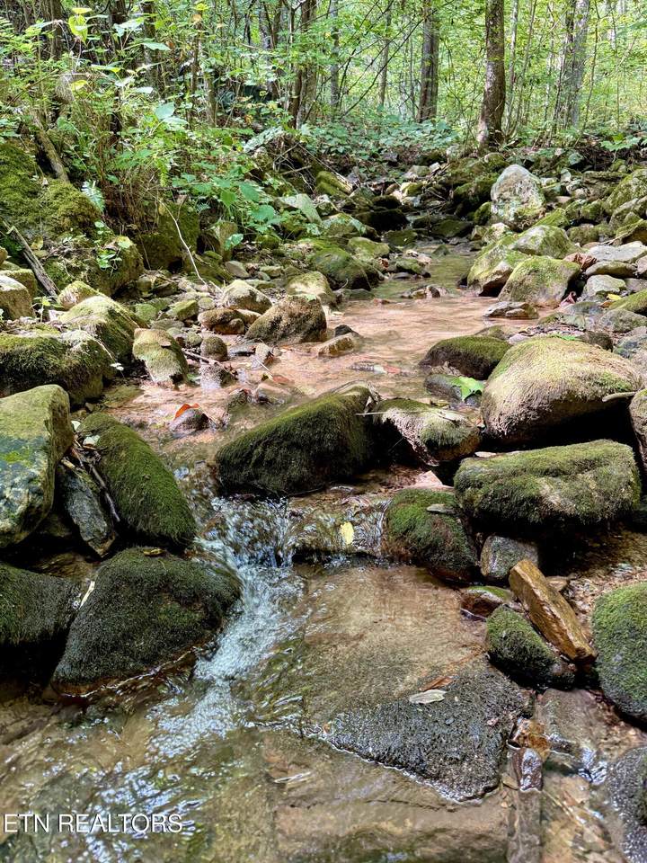 Lot 154 Summit Trails Drive - Photo 1