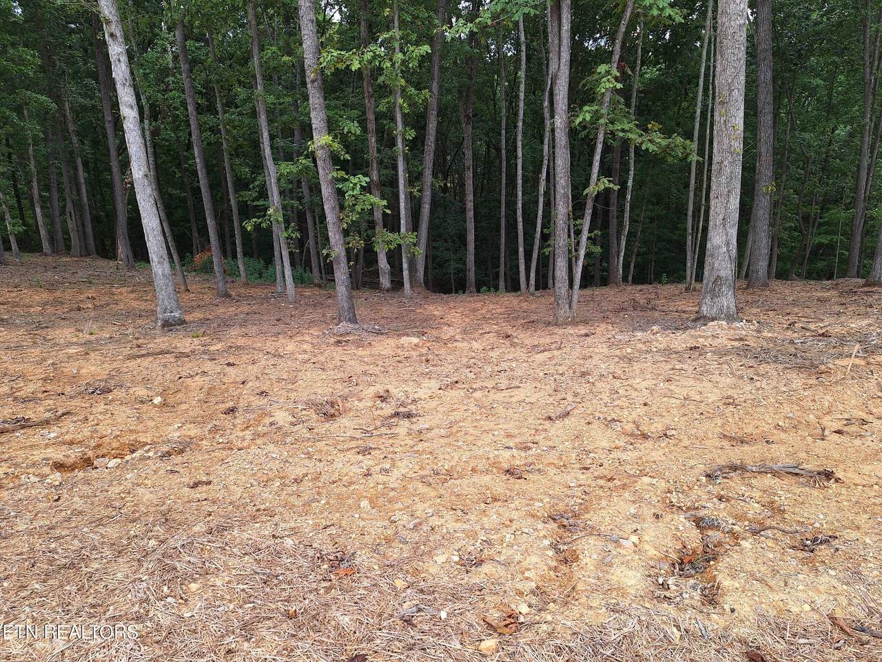 121 Cherry Tree Lane - Photo 1