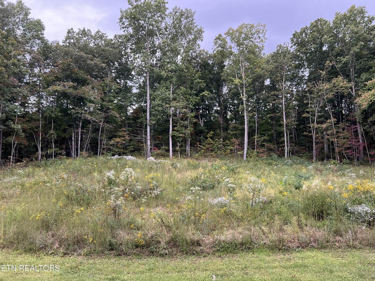  Willow Ridge Drive - Photo 1