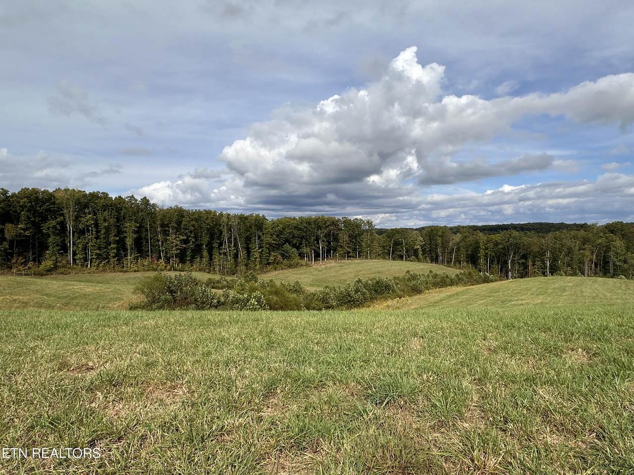 20.14 ac Billy Ridge Rd - Photo 1