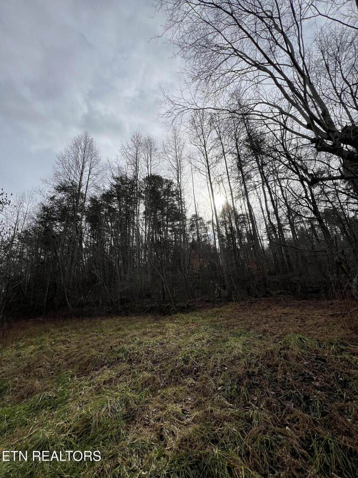 3012 Ballplay Rd - Photo 1