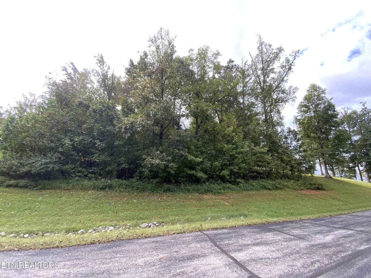 368 Walking Horse Tr - Photo 1