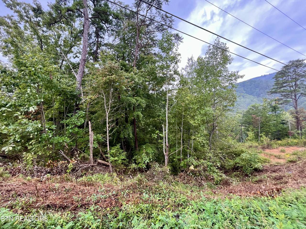Lot 97 Bluff Ridge Rd - Photo 1