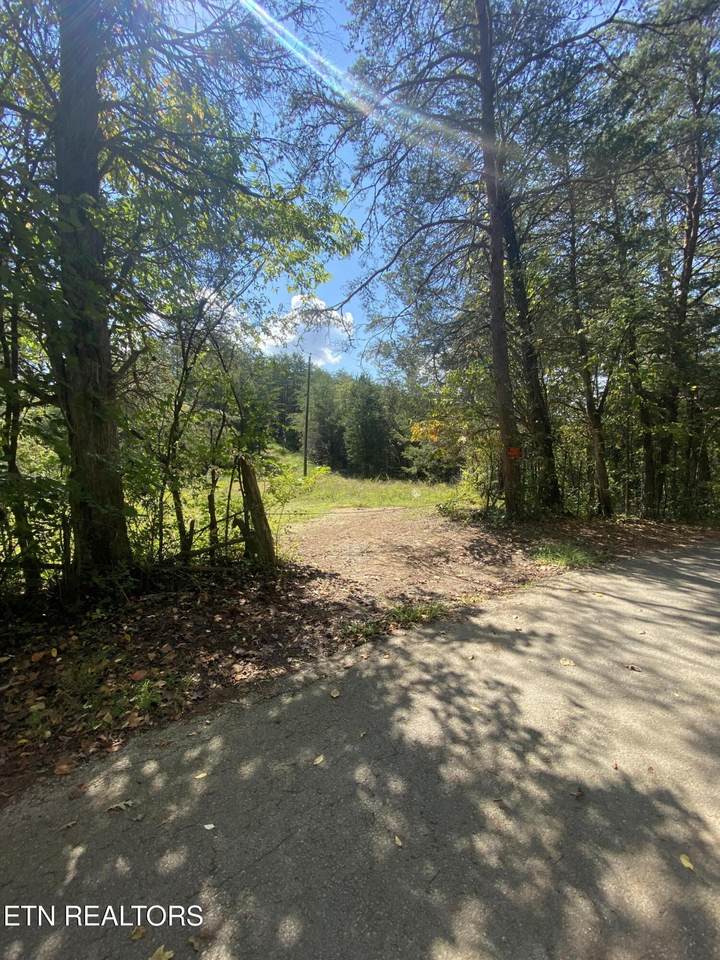 9150 Brownlow Newman Lane - Photo 1