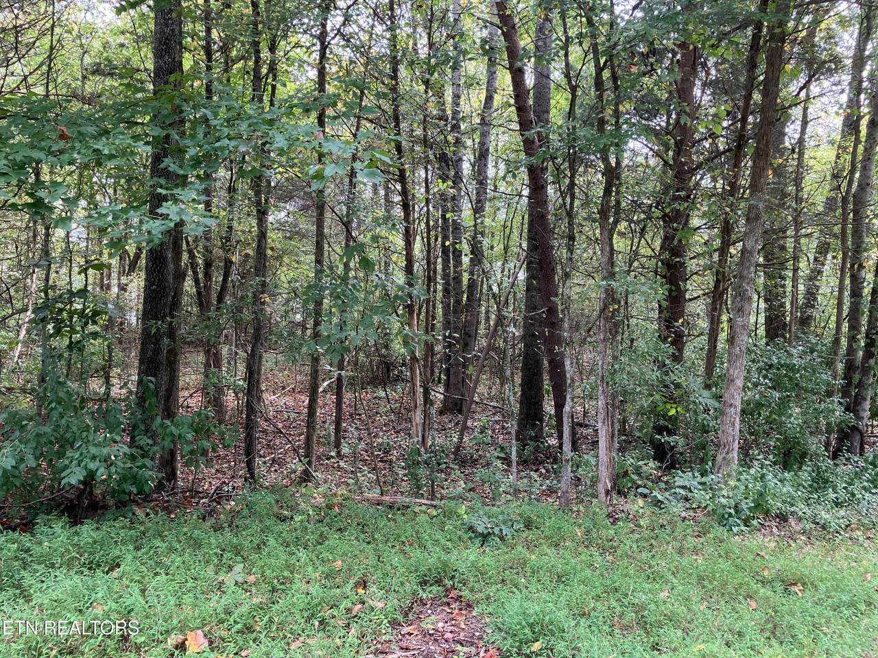 Lot 1129 Cove Lane - Photo 1