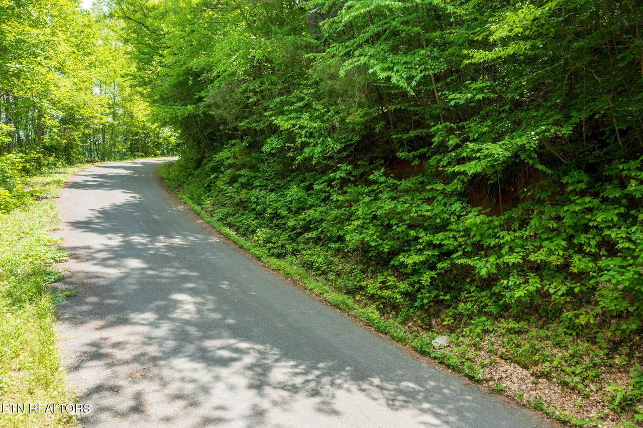  Running Bear Rd - Photo 1