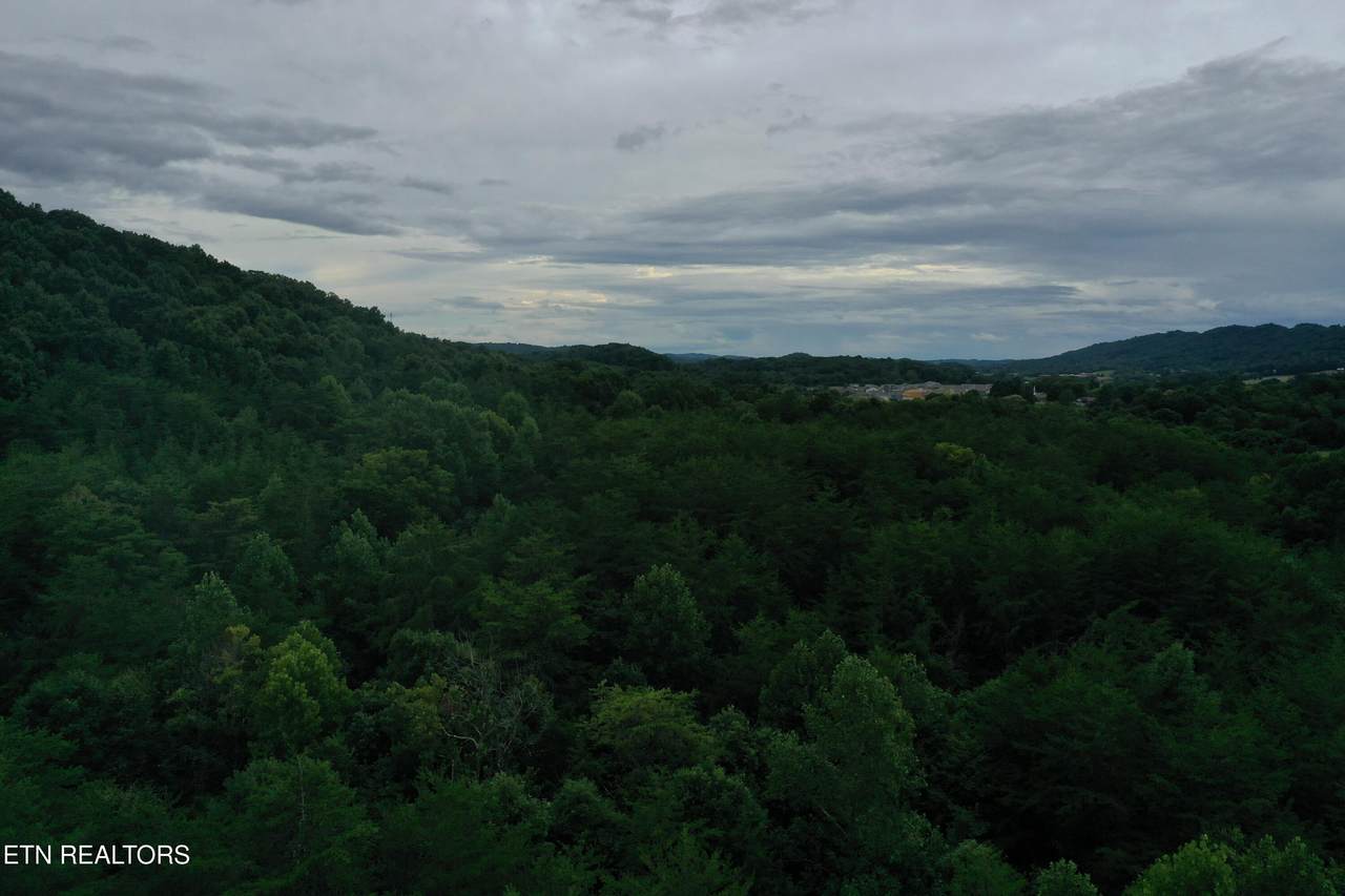  66.48 Acres Milldale Rd - Photo 1